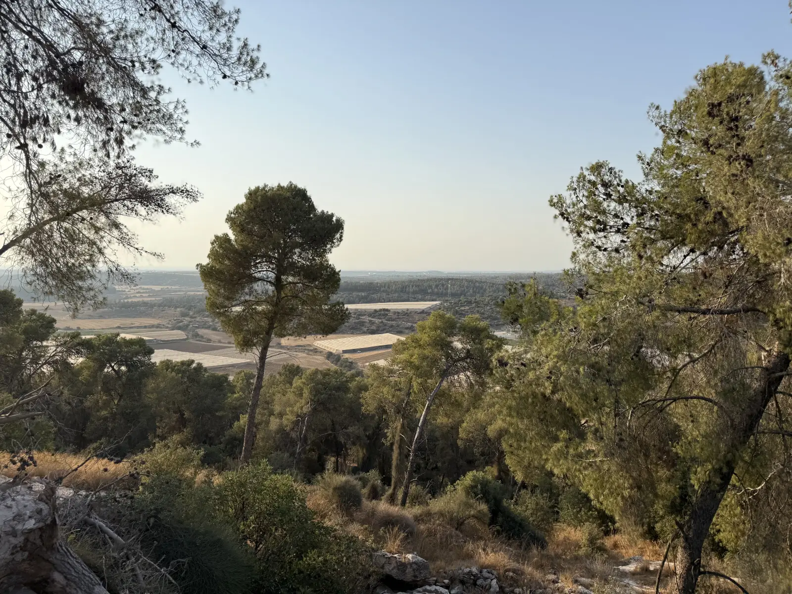 Tel Azekah: View from the tell across the surrounding valley.